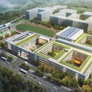 大新县妇幼保健院